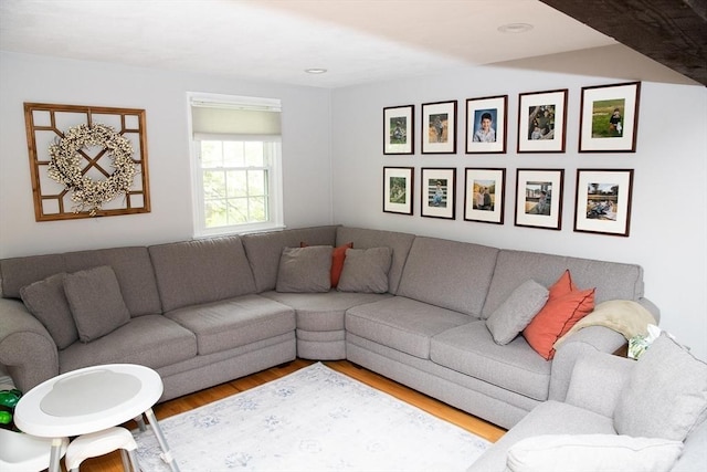 49 Tremont St, Billerica, MA 01821 - living area with wood finished floors