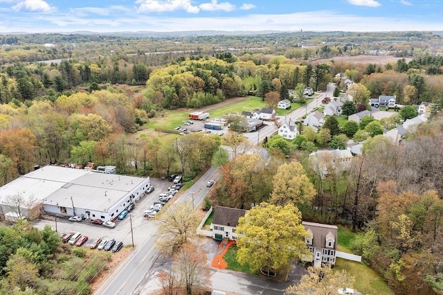 bird's eye view of a forest