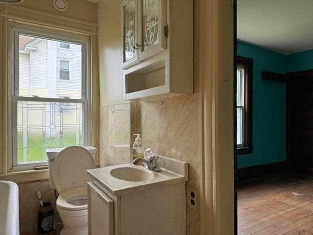 40 Allen St, Greenfield, MA 01301 - bathroom with healthy amount of natural light, toilet, vanity, and wood finished floors