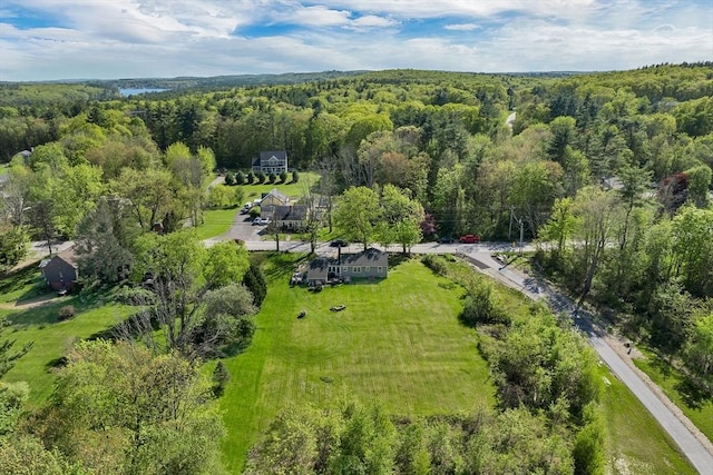 367 Main St, Hampstead, NH 03841 - aerial view of a forest