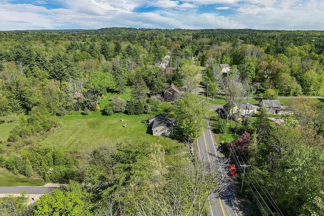 367 Main St, Hampstead, NH 03841 - aerial view of a forest