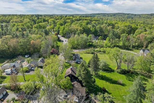 367 Main St, Hampstead, NH 03841 - drone / aerial view of a forest