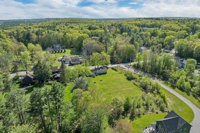 367 Main St, Hampstead, NH 03841 - aerial view of a forest