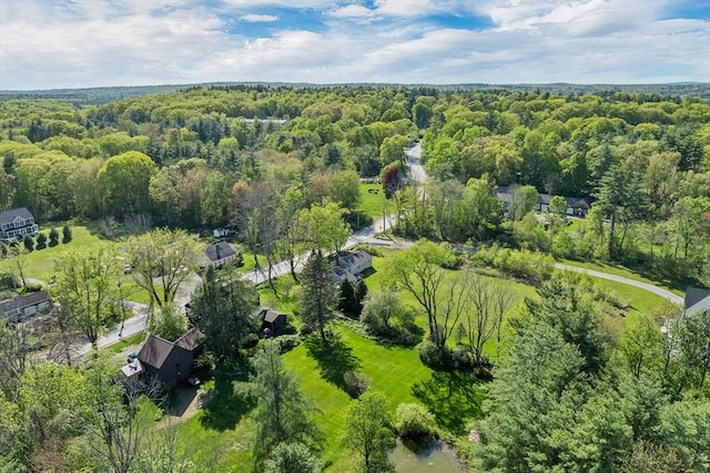 367 Main St, Hampstead, NH 03841 - drone / aerial view of a heavily wooded area