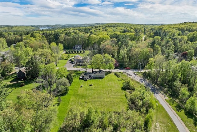 367 Main St, Hampstead, NH 03841 - drone / aerial view of a heavily wooded area