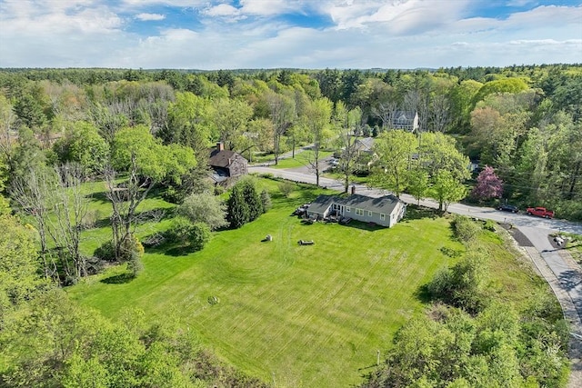 367 Main St, Hampstead, NH 03841 - aerial view of a forest