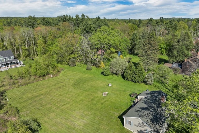 367 Main St, Hampstead, NH 03841 - drone / aerial view of a forest