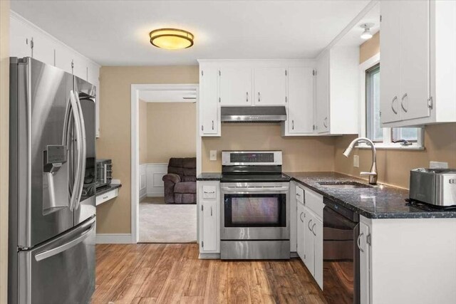 110 Northbridge Rd, Mendon, MA 01756 - kitchen with appliances with stainless steel finishes, under cabinet range hood, a sink, light wood finished floors, and white cabinetry
