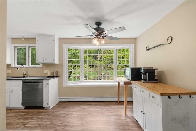 110 Northbridge Rd, Mendon, MA 01756 - kitchen with dishwashing machine, a sink, healthy amount of natural light, and baseboard heating