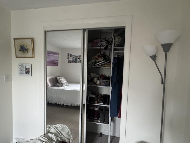 22 Bryon Rd Unit 3, Boston, MA 02467 - view of closet