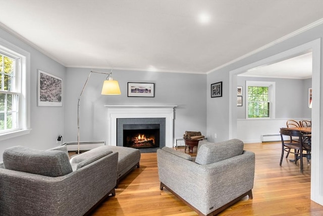 living area featuring crown molding, light wood-style flooring, a fireplace, and a baseboard radiator