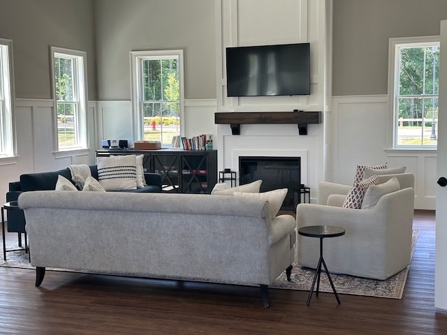 living room featuring dark hardwood / wood-style floors, a towering ceiling, and a healthy amount of sunlight