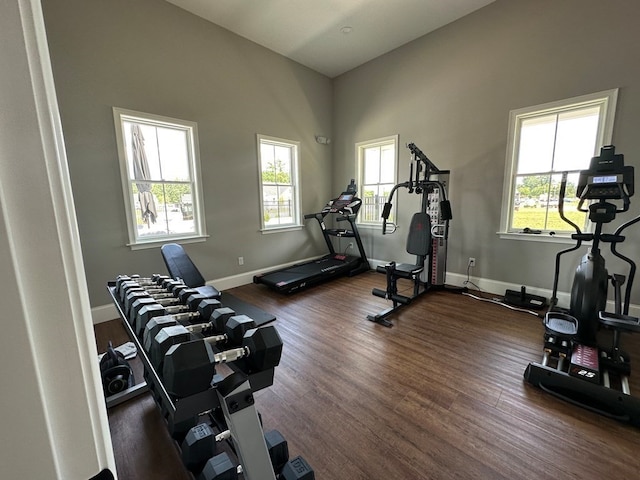 exercise room featuring a wealth of natural light, a towering ceiling, and dark hardwood / wood-style flooring