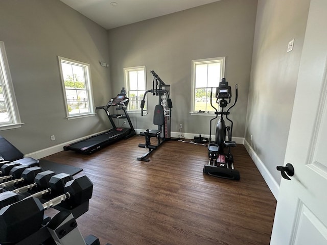 exercise area with dark hardwood / wood-style flooring and a high ceiling