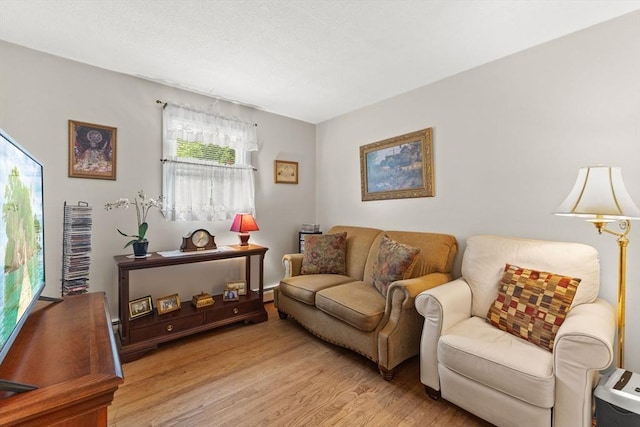 114 Cypress Dr, Swansea, MA 02777 - living room with light wood-style floors