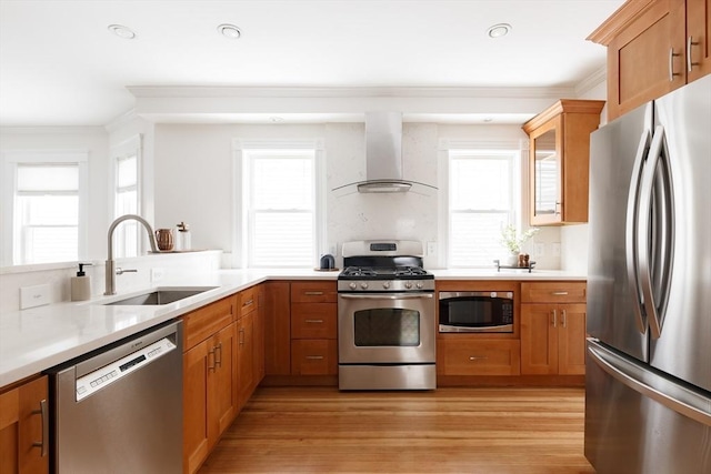 kitchen featuring wall chimney exhaust hood, appliances with stainless steel finishes, a sink, and ornamental molding