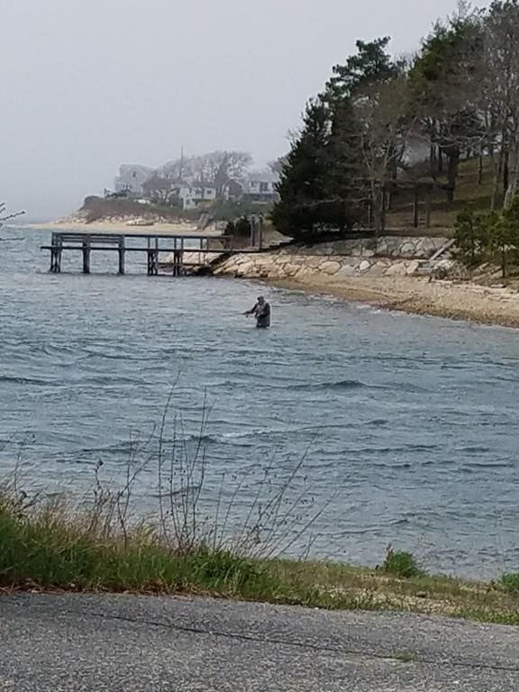51 Nye Ln, Bourne, MA 02532 - water view