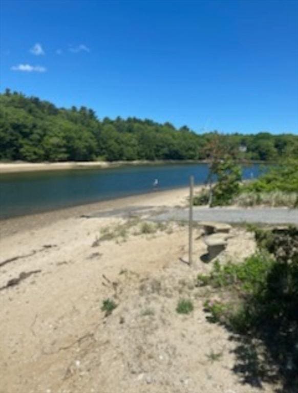 51 Nye Ln, Bourne, MA 02532 - water view featuring a forest