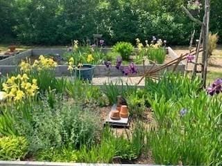 2241 Main St, Brewster, MA 02631 - surrounding community featuring a vegetable garden