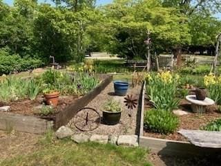 2241 Main St, Brewster, MA 02631 - view of yard featuring a garden