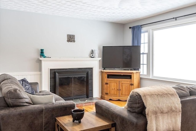 living room featuring hardwood / wood-style flooring and a textured ceiling