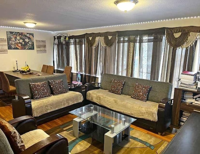 333 Main St, Melrose, MA 02176 - living room featuring healthy amount of natural light, wood finished floors, and a textured ceiling
