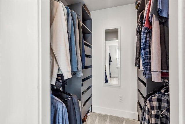 walk in closet with carpet flooring