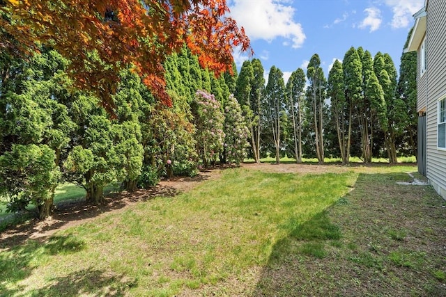 447 Old Connecticut Path, Framingham, MA 01701 - view of grassy yard