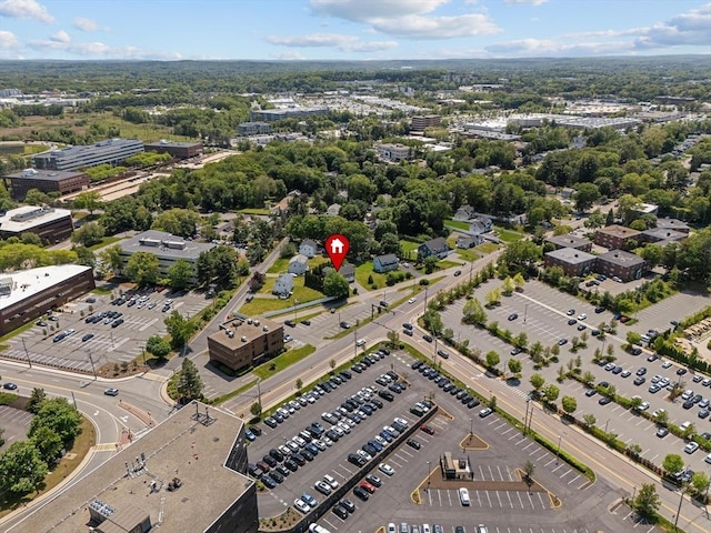 447 Old Connecticut Path, Framingham, MA 01701 - aerial overview of property's location