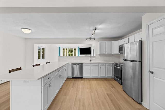 447 Old Connecticut Path, Framingham, MA 01701 - kitchen featuring stainless steel appliances, a sink, a peninsula, light countertops, and light wood-type flooring