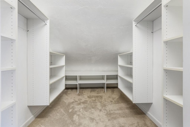 walk in closet featuring carpet floors