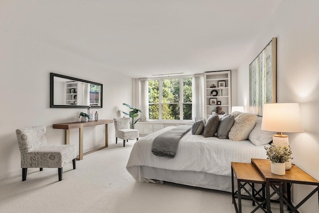 210 Nahanton St Unit 504, Newton, MA 02459 - bedroom featuring carpet