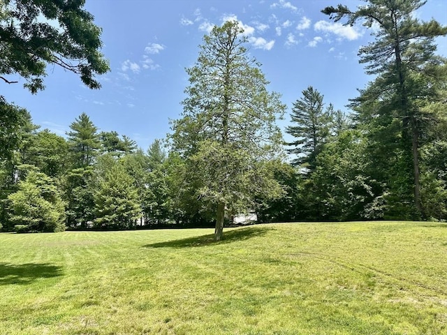 20 Benson St, Middleboro, MA 02346 - view of green lawn