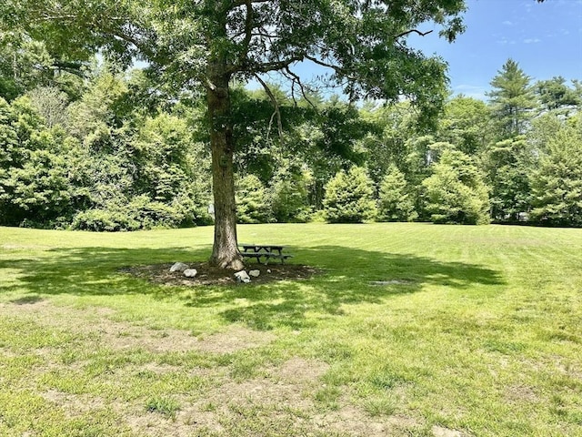20 Benson St, Middleboro, MA 02346 - view of green lawn