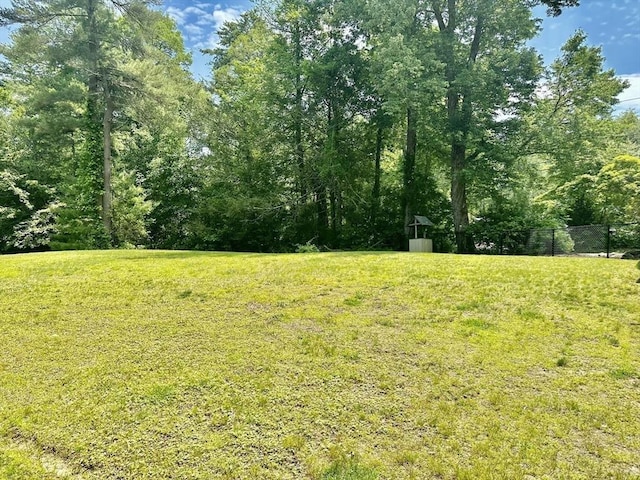 20 Benson St, Middleboro, MA 02346 - view of yard