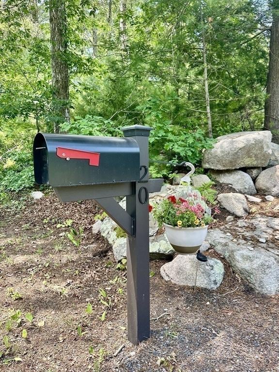 20 Benson St, Middleboro, MA 02346 - exterior view of a heavily wooded area