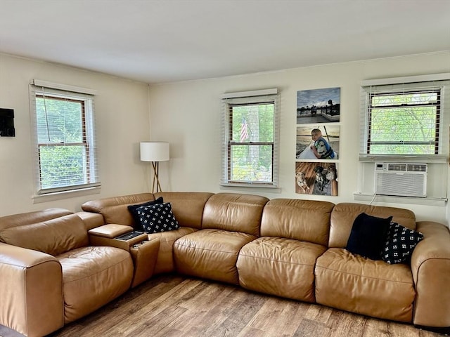 20 Benson St, Middleboro, MA 02346 - living room with wood finished floors and cooling unit