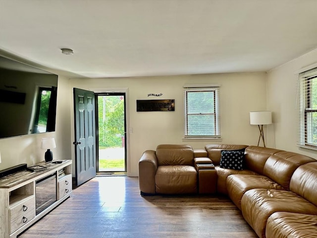 20 Benson St, Middleboro, MA 02346 - living room with plenty of natural light and hardwood / wood-style flooring