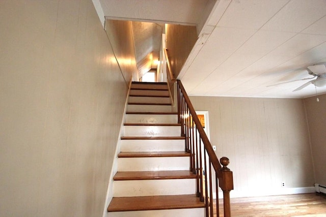 75 Wachusett St, Franklin, MA 02038 - stairs featuring ceiling fan, wood finished floors, a baseboard radiator, and wooden walls