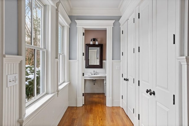 hall with wainscoting, plenty of natural light, light wood-style flooring, and crown molding