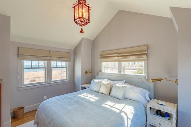 17 Mattarest Ln, Dartmouth, MA 02748 - bedroom with wood finished floors and high vaulted ceiling