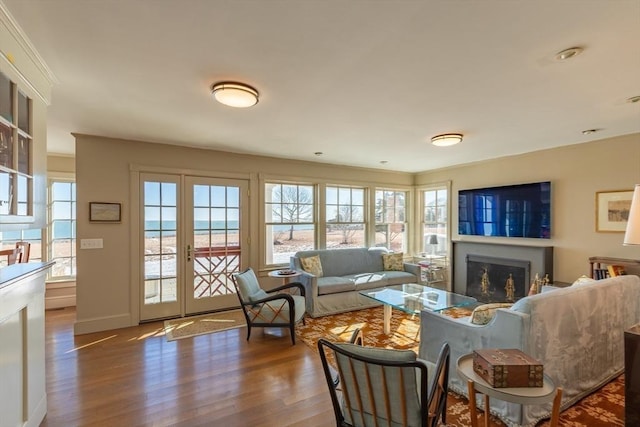 17 Mattarest Ln, Dartmouth, MA 02748 - living room featuring wood finished floors, a fireplace, and french doors