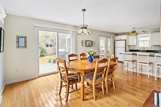 dining area with light wood-type flooring and plenty of natural light