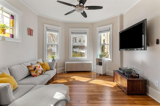 living area featuring baseboards, wood finished floors, a ceiling fan, and radiator