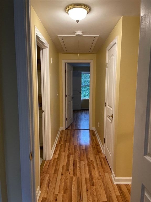 corridor featuring light wood-type flooring