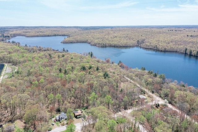 bird's eye view featuring a view of trees and a water view