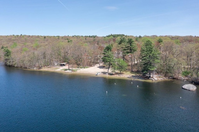water view with a view of trees