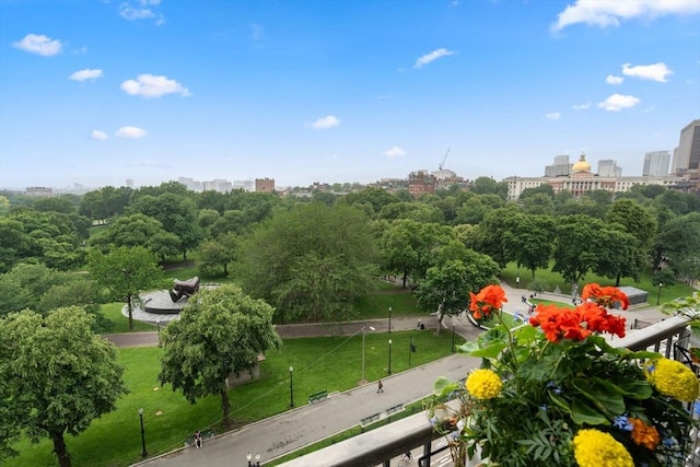 151 Tremont St Unit 9N, Boston, MA 02111 - balcony featuring a city view and view of wooded area