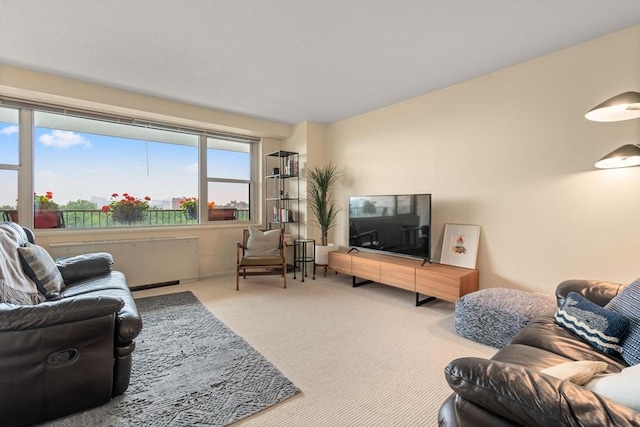 151 Tremont St Unit 9N, Boston, MA 02111 - living room with carpet flooring
