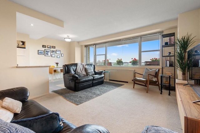 151 Tremont St Unit 9N, Boston, MA 02111 - view of carpeted living area